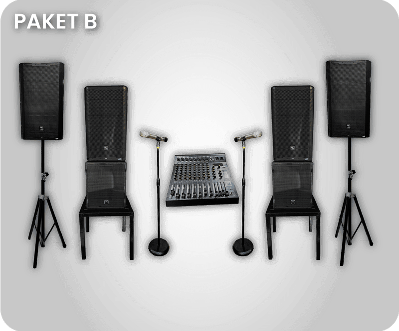 Sound System Professional